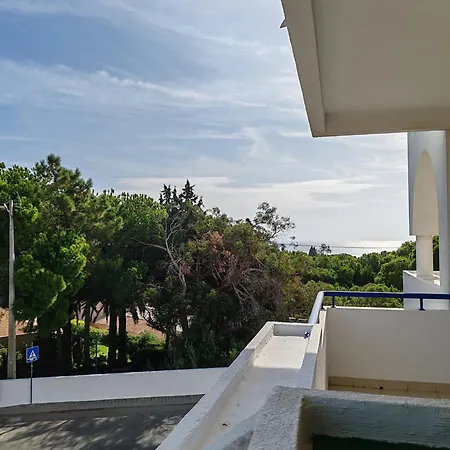 Apartment 2a Palmeiras Com Piscina - Casas & Papeis *