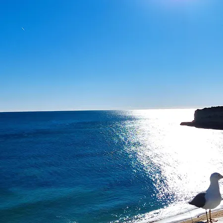 2a Palmeiras Com Piscina - Casas & Papeis 아파트 Armação de Pêra